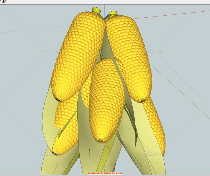 精细玉米棒子 - sketchup模型库 - 毕马汇 nbimer
