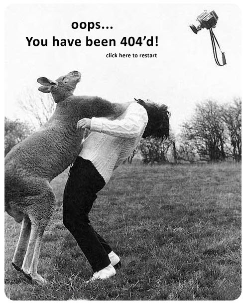 好有澳大利亚特色的404
