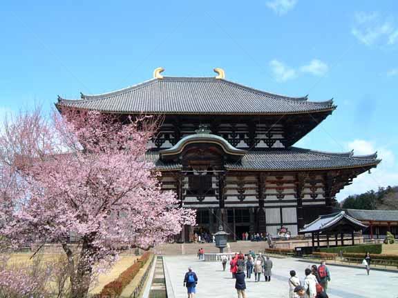 收集整理的日本寺庙及古建筑sketcpup模型