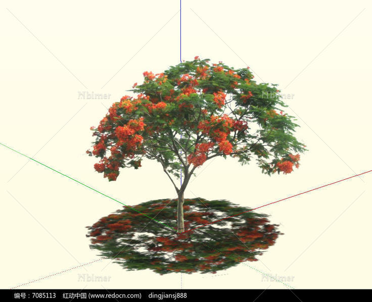 "凤凰木"树的su模型