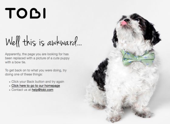 适合宠物类网站的404