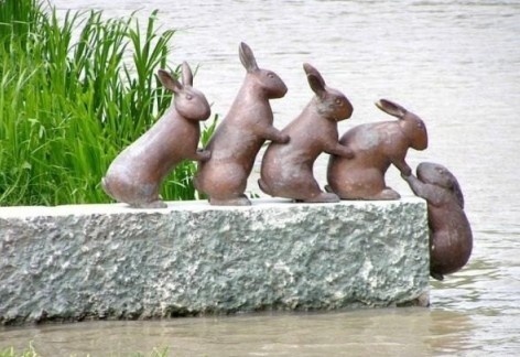 四只兔在救一只落汤兔