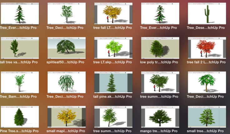 一套景观植物SketchUp模型 第2季