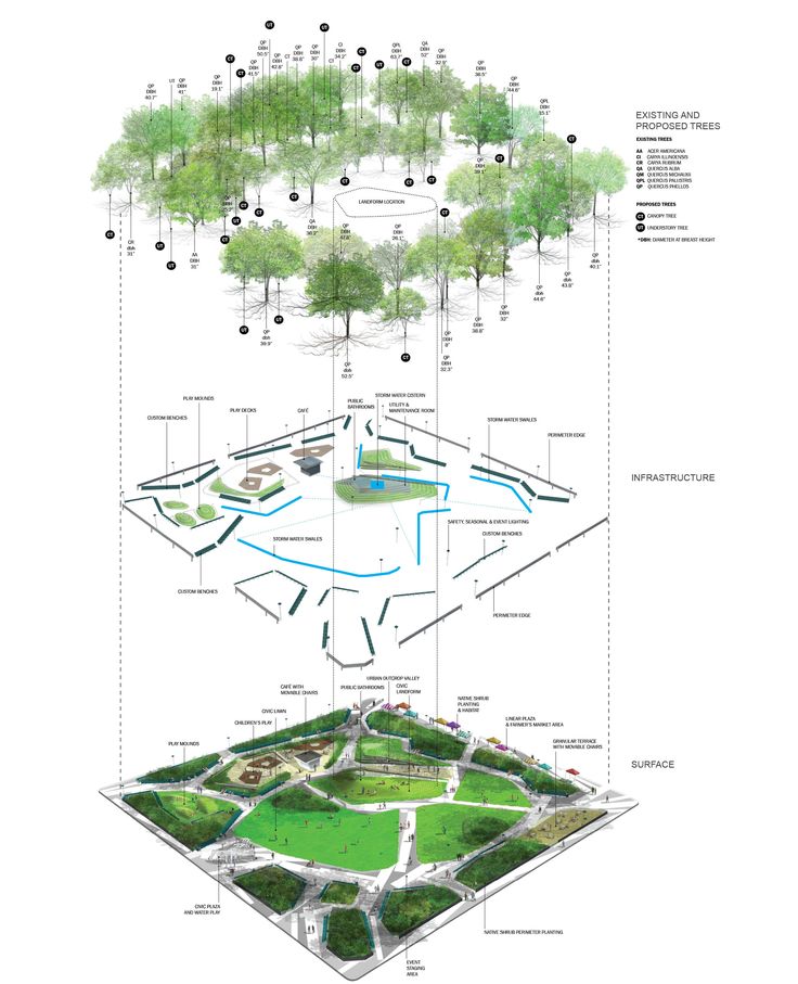 景观设计分层展示：地表划分—— 基础设施——绿