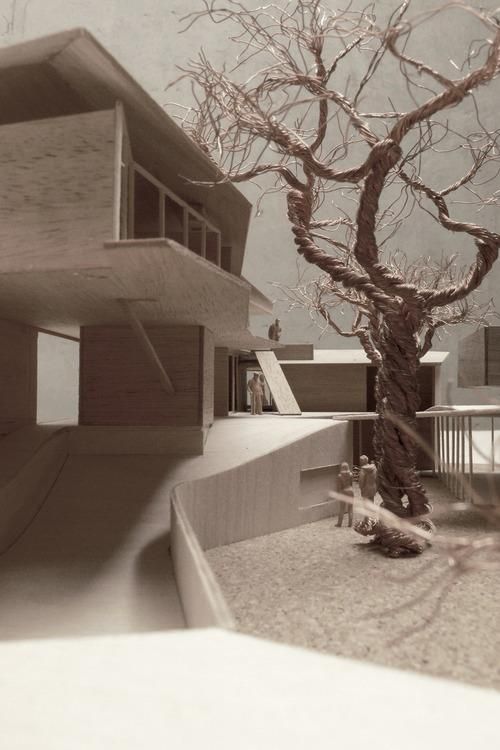 一棵树让建筑成为一个模型的配景