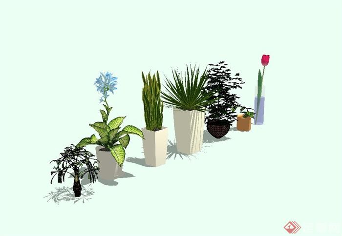 七种不同的景观植物盆栽设计su模型[原创]