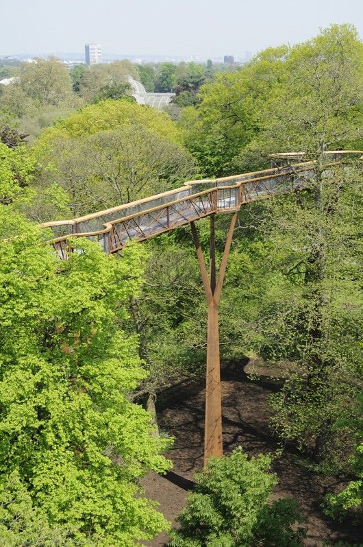 Kew Tree Top Walkway & Rhizotron / Marks Bar