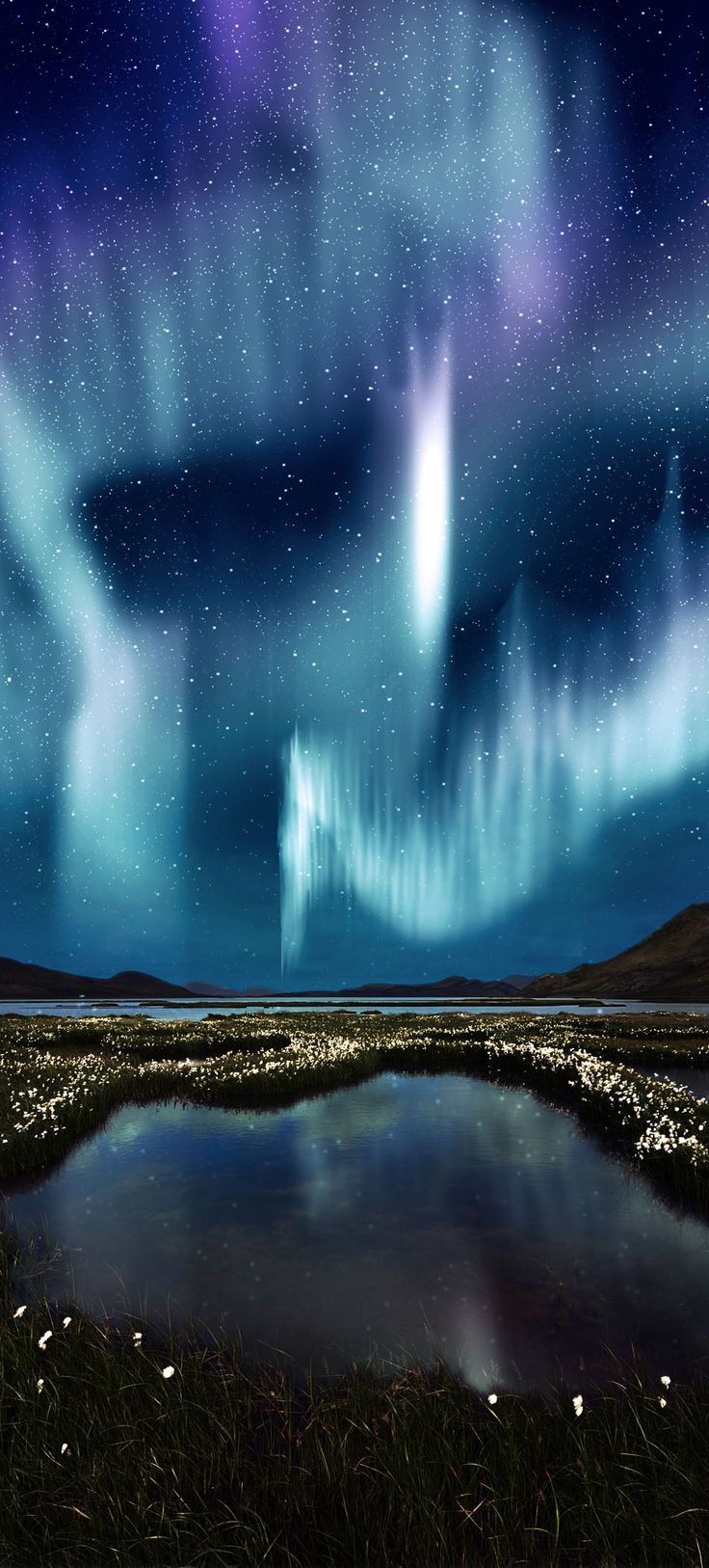 The Northern Light over the marsh landscape 