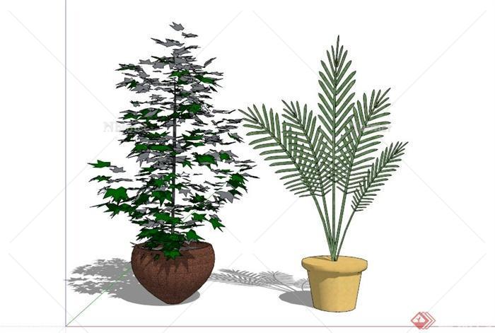 两个室内盆栽植物SU模型[原创]