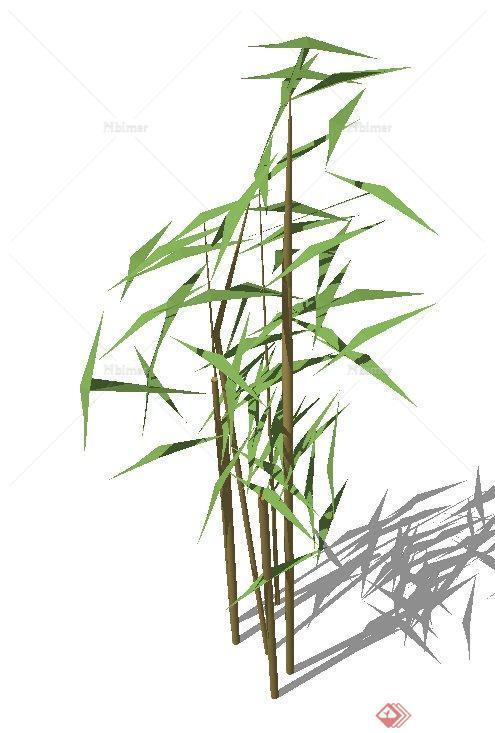 多棵竹子设计的SU模型素材