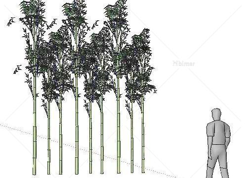 竹子和人Sketchup模型