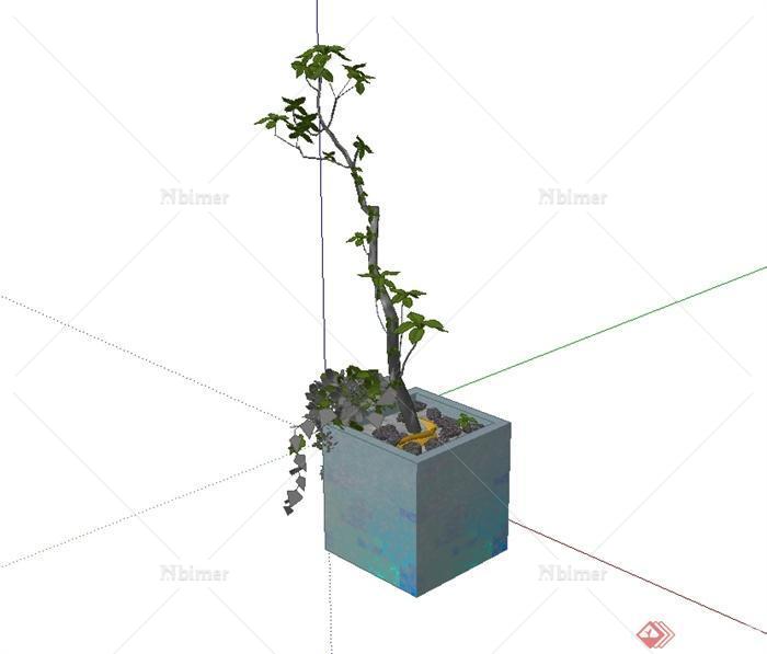 某现代盆栽植物设计SU模型[原创]