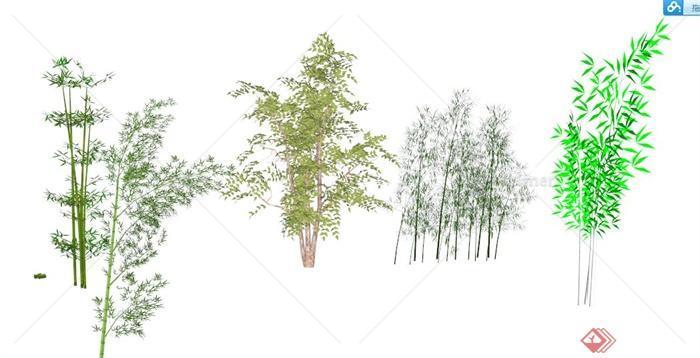 园林景观乔木及竹子su模型