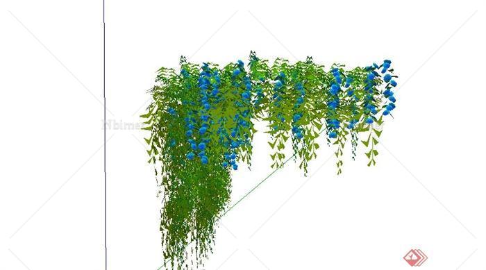 藤蔓及垂直植物绿化SU模型设计[原创]