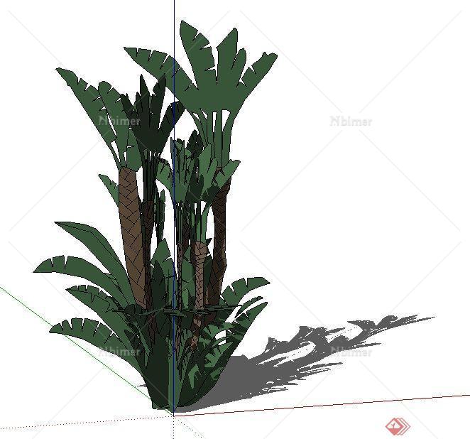 一个景观灌木植物SU模型素材