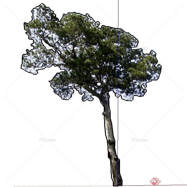 一株2D景观绿化树木SU模型素材