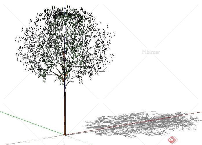 一株景观树木SU模型素材（3）