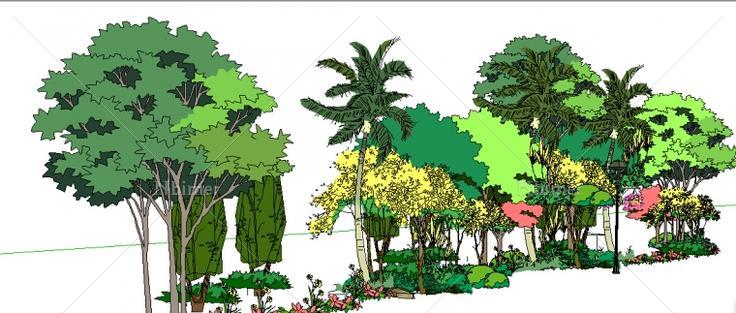 收集整理的植物群落SketchUp模型下载分享带截图