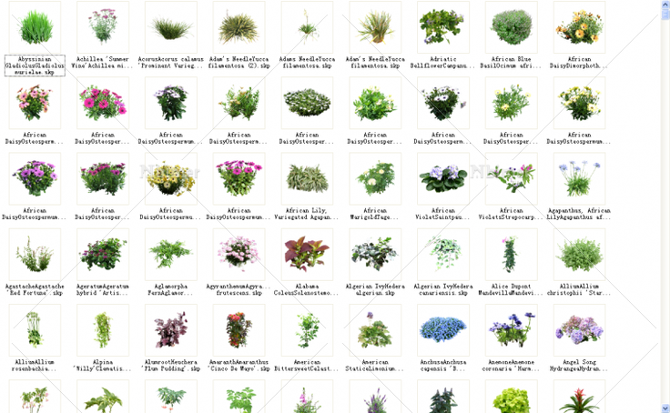 1848个植物模型（Annuals & Perennials）1.