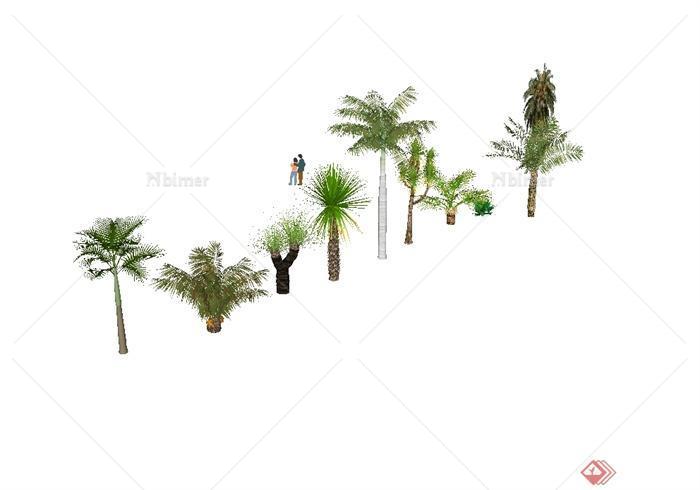 棕榈植物树木设计su模型[原创]