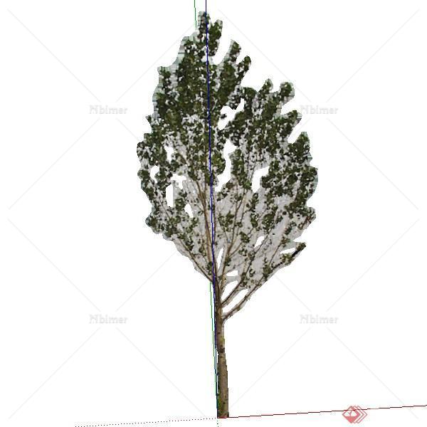 一棵番石榴树的景观植物设计SU模型