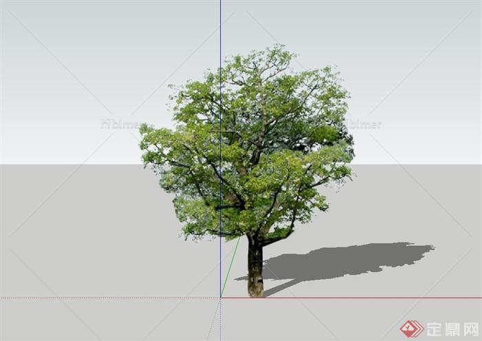 某详细单棵树木植物素材设计su模型[原创]