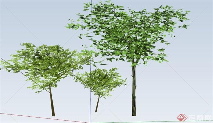 三棵常绿乔木植物设计SU模型