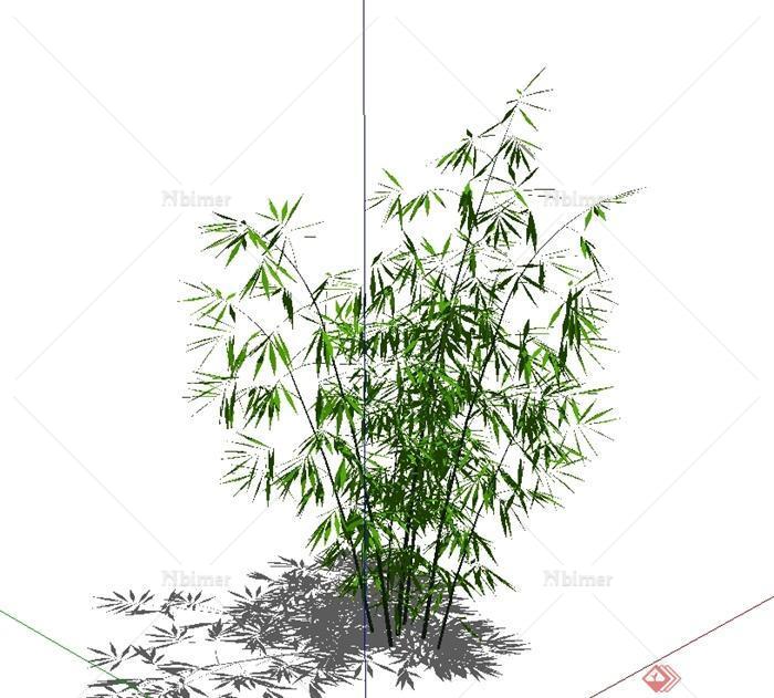 竹子植物素材设计su模型,模型有材质贴图,可直接下载用于相关园林景观