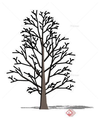 一棵冬季树的景观植物设计SU模型3