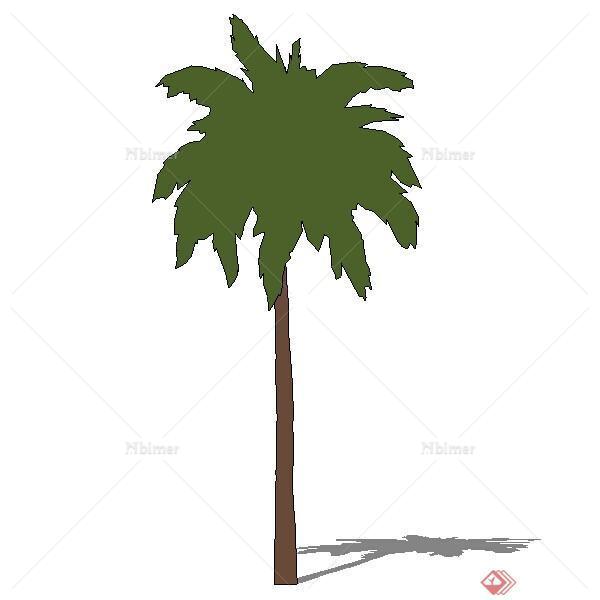 一颗棕榈树树木SU模型素材