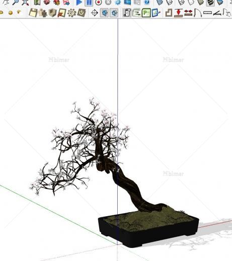NEW!-分享精致盆景造型SketchUp模型下载分享带截