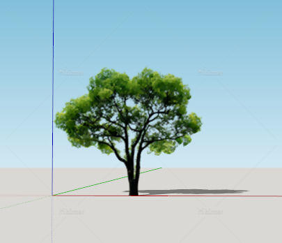 sketchup模型树2d真实乔木