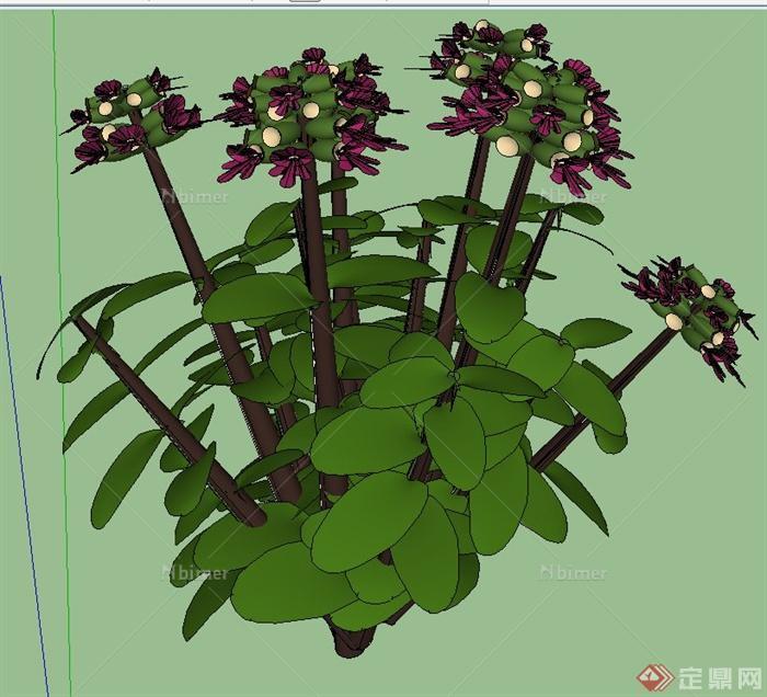 花卉植物设计SU模型