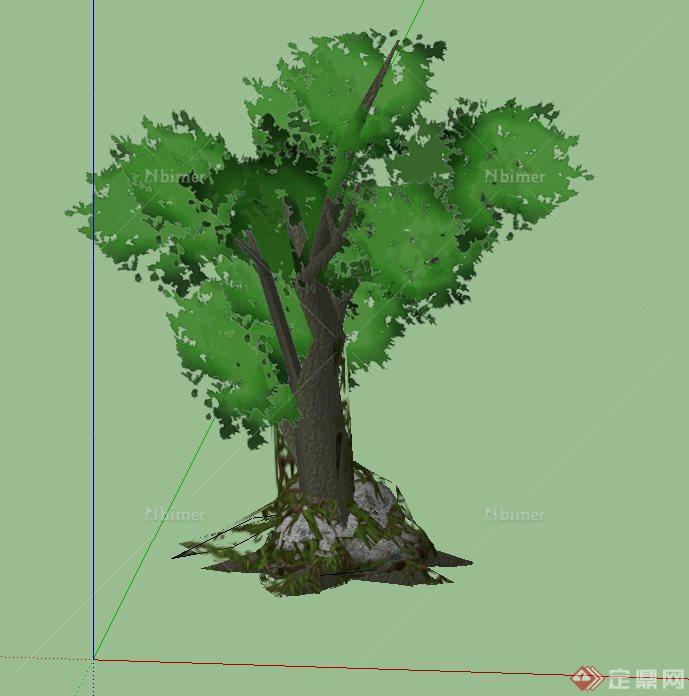 一棵热带雨林植物SU模型素材