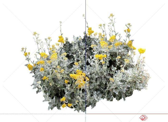 20种不同的花卉景观植物设计SU模型[原创]
