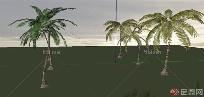 6棵棕榈类椰子树su模型[原创]