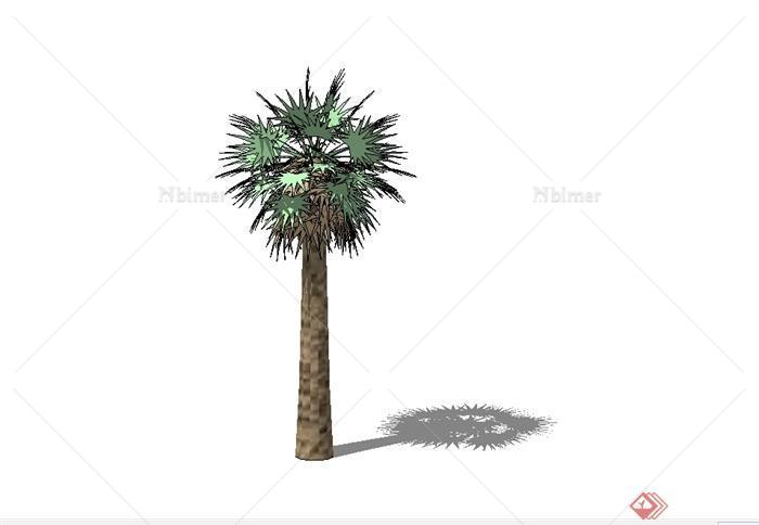 某经典棕榈植物素材设计SU模型[原创]