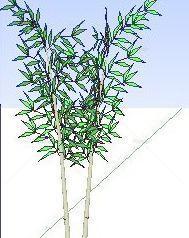 竹子Sketchup模型