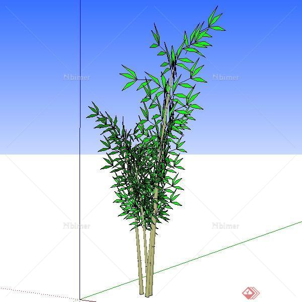 设计素材之景观植物乔木竹子设计素材su模型