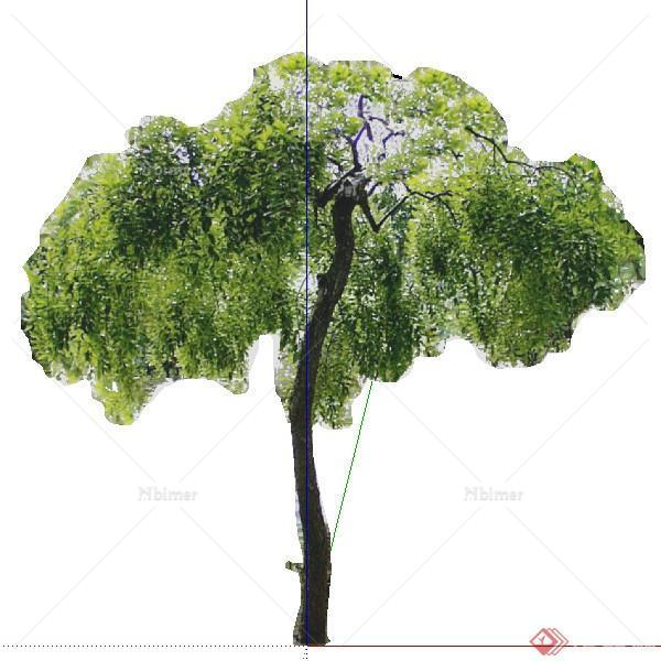 一株2D伞状绿化树木SU模型素材