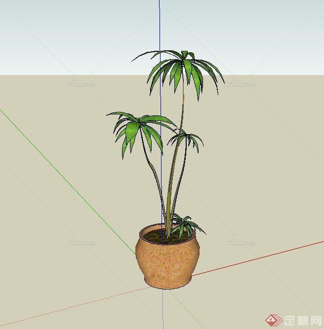 某室内盆栽植物设计SU模型