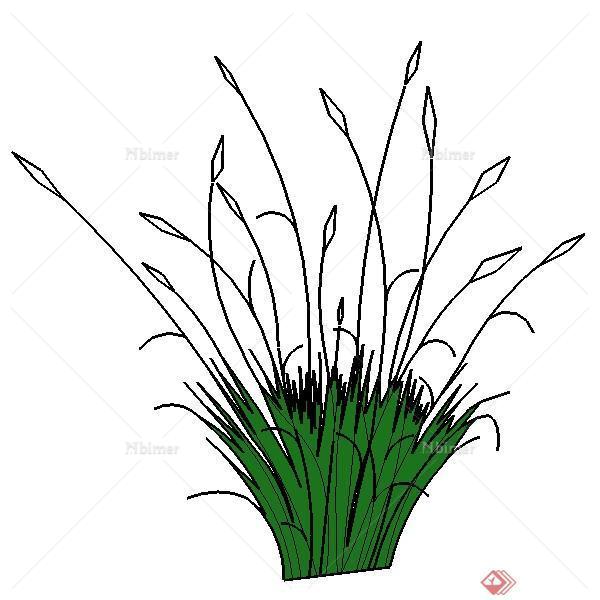 一个景观花草植物SU模型素材（2）