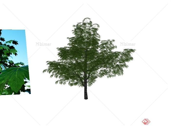 经典详细完整的园林景观树木植物素材设计SU模型
