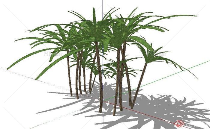 六款景观植物su模型