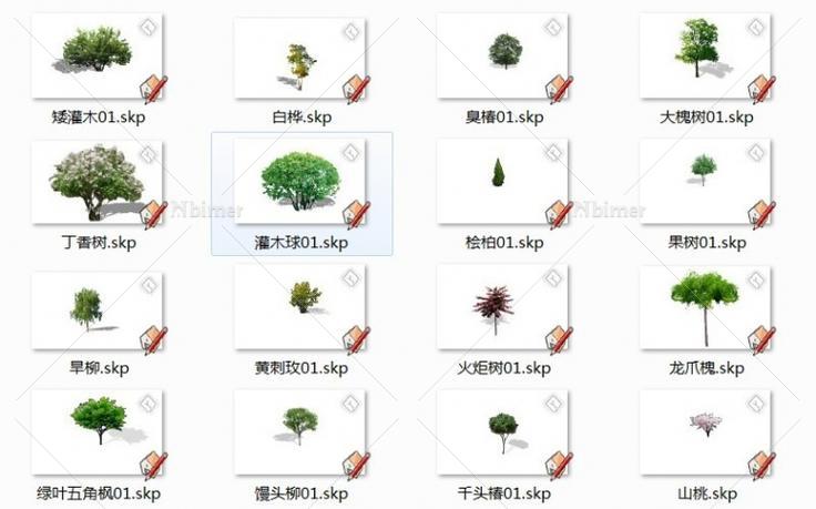 自己做的一些真实的植物2D模型