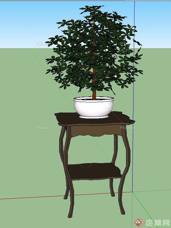 室内木质花架与盆栽植物设计SU模型
