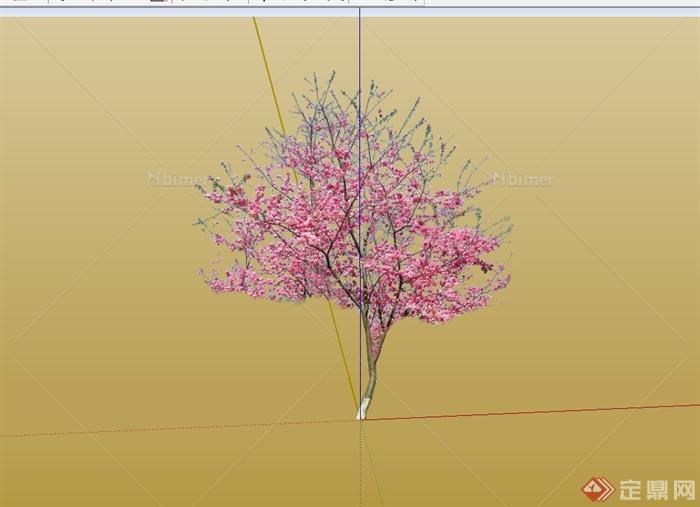 樱花树木设计su模型[原创]