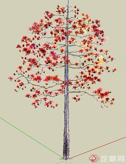 园林设计素材景观树su模型参考