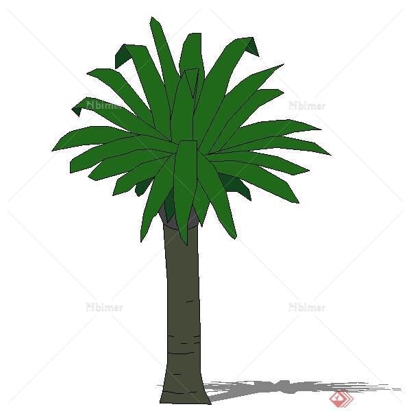 设计素材之景观植物棕榈树设计素材su模型3
