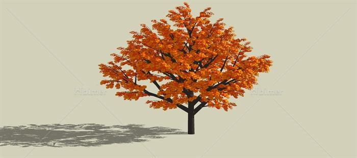 二十种树的su模型素材[原创]